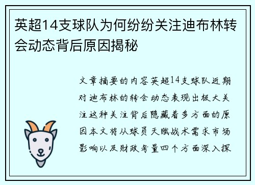 英超14支球队为何纷纷关注迪布林转会动态背后原因揭秘